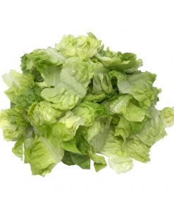 Lettuce